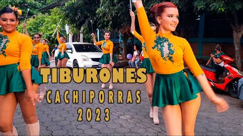 Dancers de <strong>Tiburones Music Band</strong>🌹🇸🇻 #viralreels #shorts #Tiktok #ElSalvador #salvadoreños #dancers #Bastoneras #Cachiporristas #<strong>bands</strong> #marching #latinasenmiami #usa #USAToday #friends #share #culture #<strong>music</strong> #latinosunidos #canada #california #losangeles #florida #texas #Illinois #michigan #foryou #fyp. . Tiburones music band